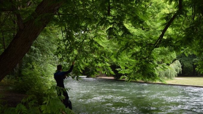 münih ingiliz bahçesi