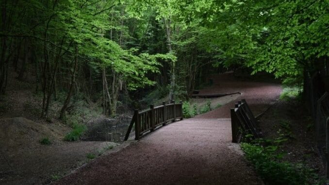 polonezköy gezilecek yerler